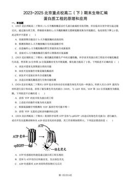 2023-2025北京重点校高二（下）期末生物汇编：蛋白质工程的原理和应用-答案