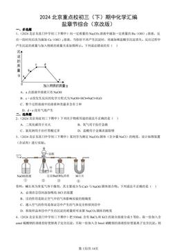 2024北京重点校初三（下）期中化学汇编：盐章节综合（京改版）-答案