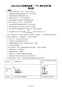 2022-2024北京重点校高一（下）期末化学汇编：蛋白质-答案