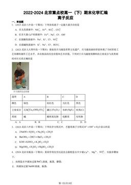 2022-2024北京重点校高一（下）期末化学汇编：离子反应-答案