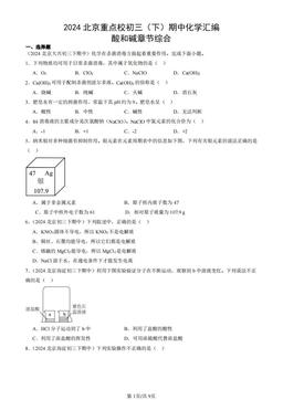 2024北京重点校初三（下）期中化学汇编：酸和碱章节综合-答案