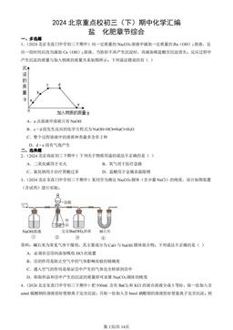 2024北京重点校初三（下）期中化学汇编：盐  化肥章节综合-答案