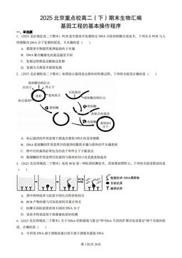 2025北京重点校高二（下）期末生物汇编：基因工程的基本操作程序-答案