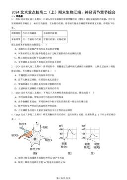 2024北京重点校高二（上）期末生物汇编：神经调节章节综合-答案