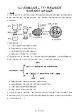 2023北京重点校高二（下）期末生物汇编：微生物的培养技术及应用-答案