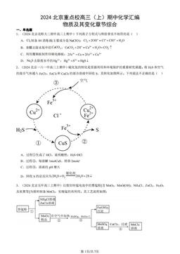 2024北京重点校高三（上）期中化学汇编：物质及其变化章节综合-答案