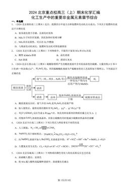 2024北京重点校高三（上）期末化学汇编：化工生产中的重要非金属元素章节综合-答案