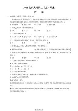 2023北京大兴初二（上）期末数学（教师版）-答案