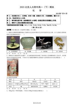 2023北京人大附中高一（下）期末化学（教师版）-答案