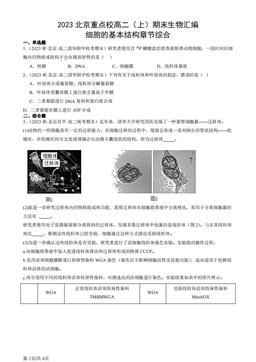 2023北京重点校高二（上）期末生物汇编：细胞的基本结构章节综合-答案