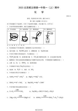 2023北京顺义杨镇一中高一（上）期中化学（教师版）-答案