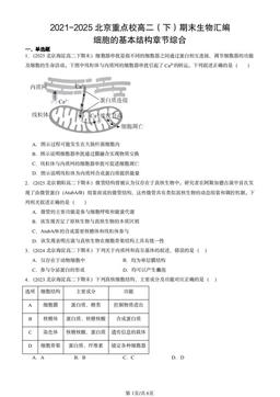2021-2025北京重点校高二（下）期末生物汇编：细胞的基本结构章节综合-答案