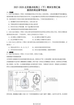 2021-2025北京重点校高二（下）期末生物汇编：基因的表达章节综合-答案