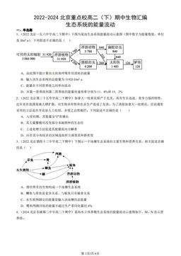 2022-2024北京重点校高二（下）期中生物汇编：生态系统的能量流动-答案