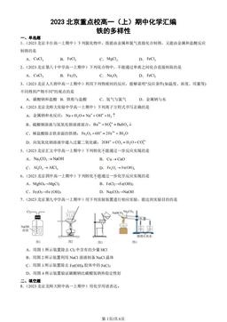 2023北京重点校高一（上）期中化学汇编：铁的多样性-答案