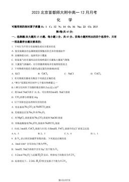 2023北京首都师大附中高一12月月考化学（教师版）-答案