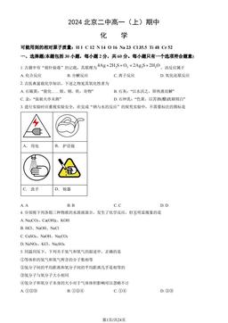 2024北京二中高一（上）期中化学（教师版）-答案