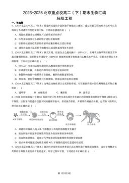 2023-2025北京重点校高二（下）期末生物汇编：胚胎工程-答案