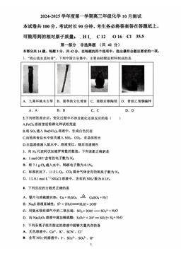 2024北京中关村中学高三10月月考化学-答案