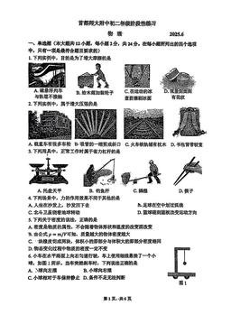 2025北京首都师大附中初二6月月考物理（教师版）-答案