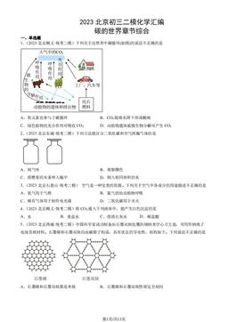 2023北京初三二模化学汇编：碳的世界章节综合-答案