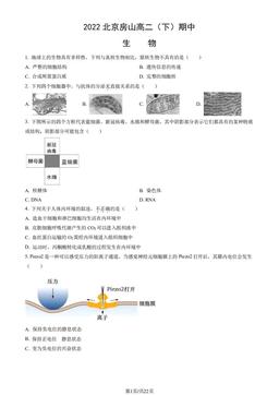 2022北京房山高二（下）期中生物（教师版）-答案