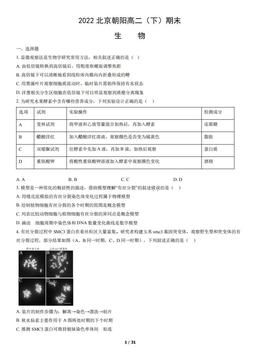2022北京朝阳高二（下）期末生物（教师版）-答案