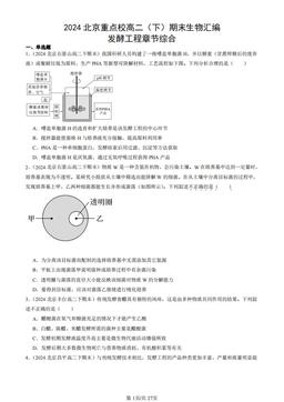 2024北京重点校高二（下）期末生物汇编：发酵工程章节综合-答案