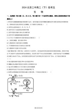 2024北京二中高二（下）段考五生物（教师版）-答案