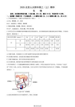 2025北京人大附中高二（上）期中生物（教师版）-答案