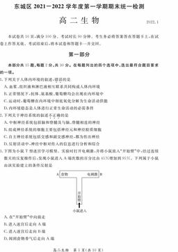 2022北京东城高二（上）期末生物（教师版）-答案