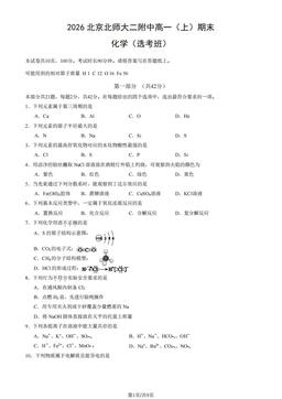 2026北京北师大二附中高一（上）期末化学（选考班）（教师版）-答案