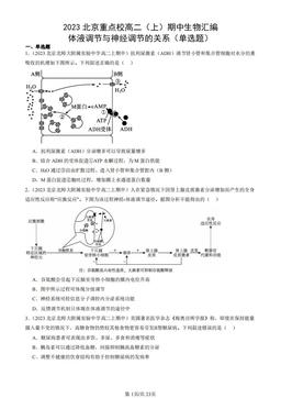 2023北京重点校高二（上）期中生物汇编：体液调节与神经调节的关系（单选题）-答案
