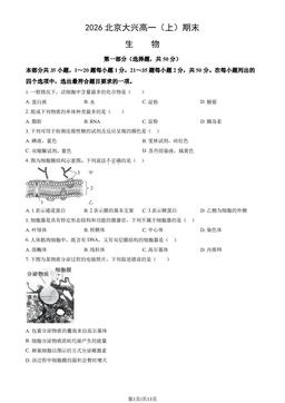2026北京大兴高一（上）期末生物（教师版）-答案