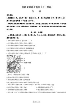 2025北京延庆高二（上）期末生物（教师版）-答案
