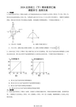 2024北京初二（下）期末数学汇编：课题学习 选择方案-答案
