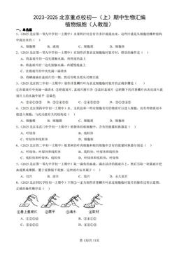 2023-2025北京重点校初一（上）期中生物汇编：植物细胞（人教版）-答案