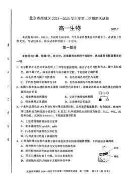 2025北京西城高一（下）期末生物-答案