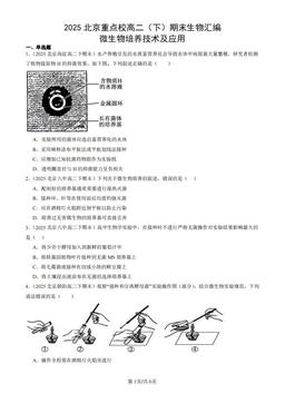 2025北京重点校高二（下）期末生物汇编：微生物培养技术及应用-答案