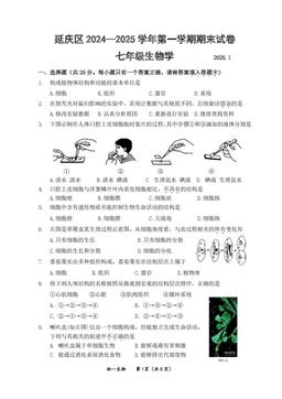 2025北京延庆初一（上）期末生物-答案
