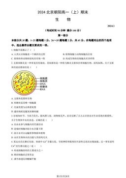 2024北京朝阳高一（上）期末生物（教师版）-答案