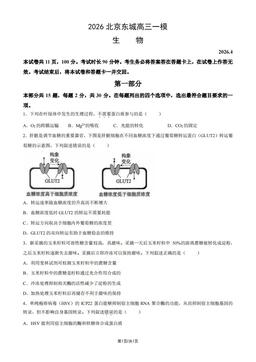 2026北京东城高三一模生物-试题