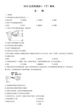 2022北京西城初一（下）期末生物（教师版）-答案