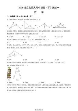 2026北京北师大附中初三（下）统练一数学（教师版）-答案
