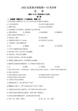 2023北京育才学校高一10月月考化学（教师版）-答案