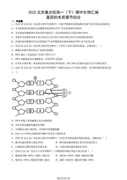 2022北京重点校高一（下）期中生物汇编：基因的本质章节综合-答案