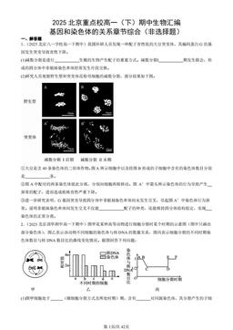 2025北京重点校高一（下）期中生物汇编：基因和染色体的关系章节综合（非选择题）-答案