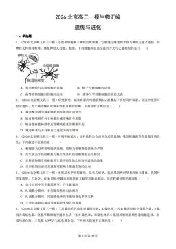2026北京高三一模生物汇编：遗传与进化-答案