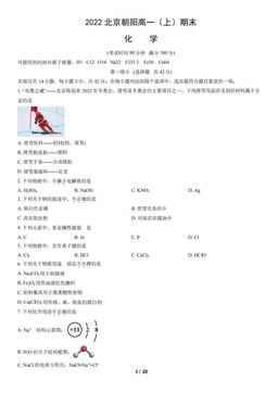 2022北京朝阳高一（上）期末化学（教师版）-答案