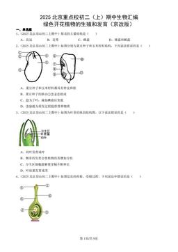 2025北京重点校初二（上）期中生物汇编：绿色开花植物的生殖和发育（京改版）-答案